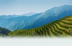 关于w-?d#-九游体育