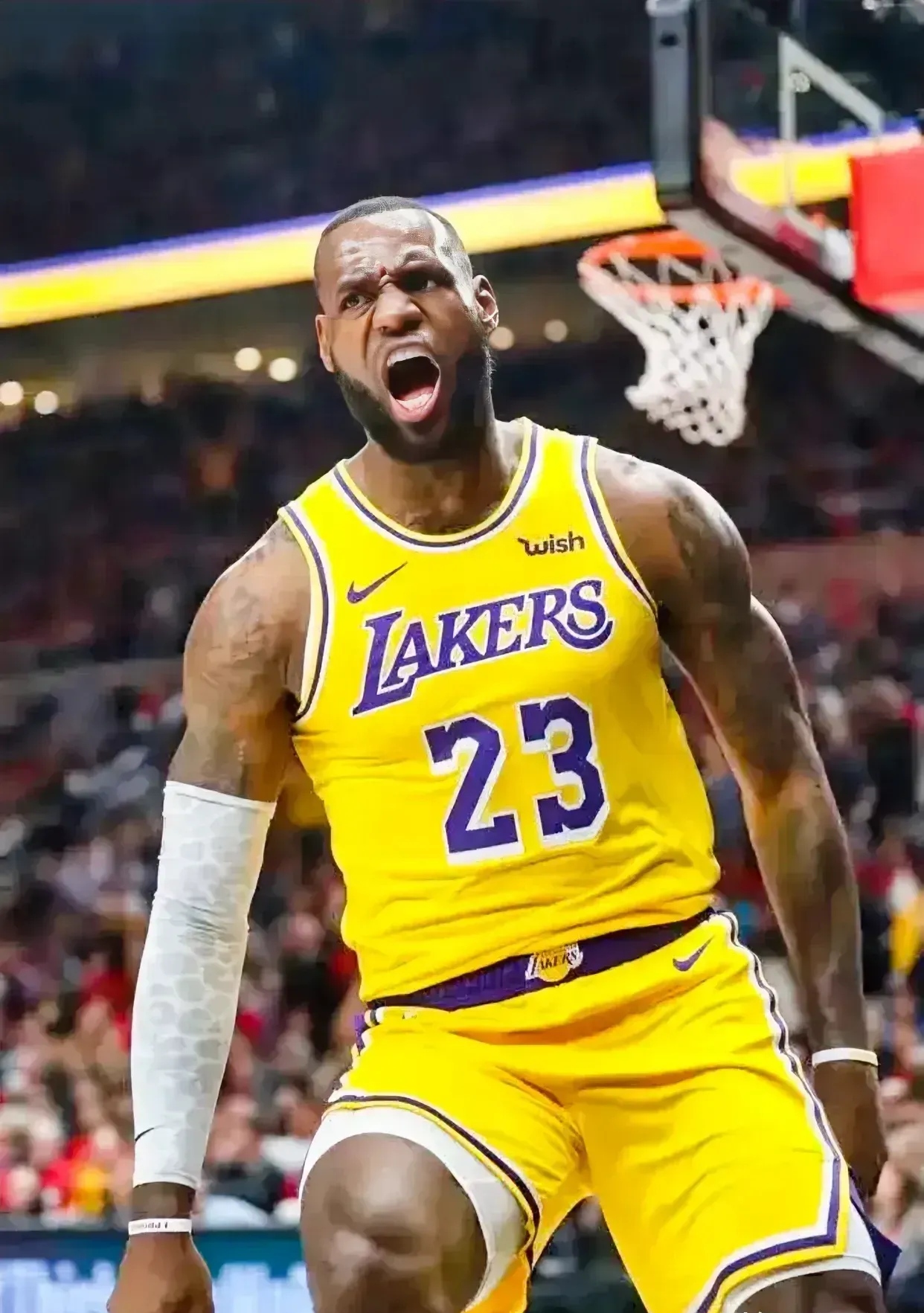 包含险胜首场状态出色，湖人观众沸腾！，浓眉哥重返赛场上演精彩一战的词条