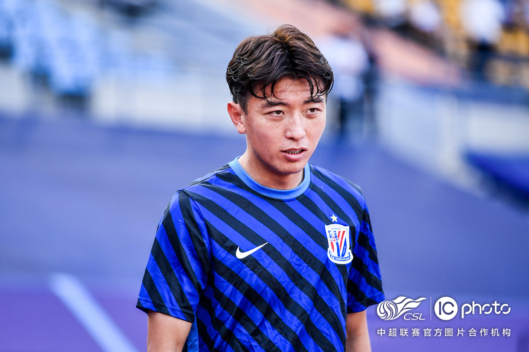 16课金色的草地课后题答案